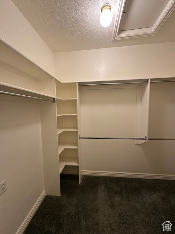 1172 MURDOCK DR American Fork, UT 84003
