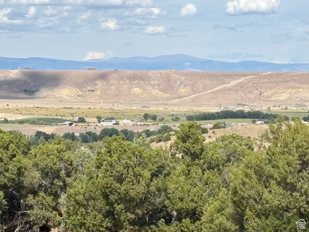 Photo 14 for MLS #2114678 at 9431 S Big Buck Rd