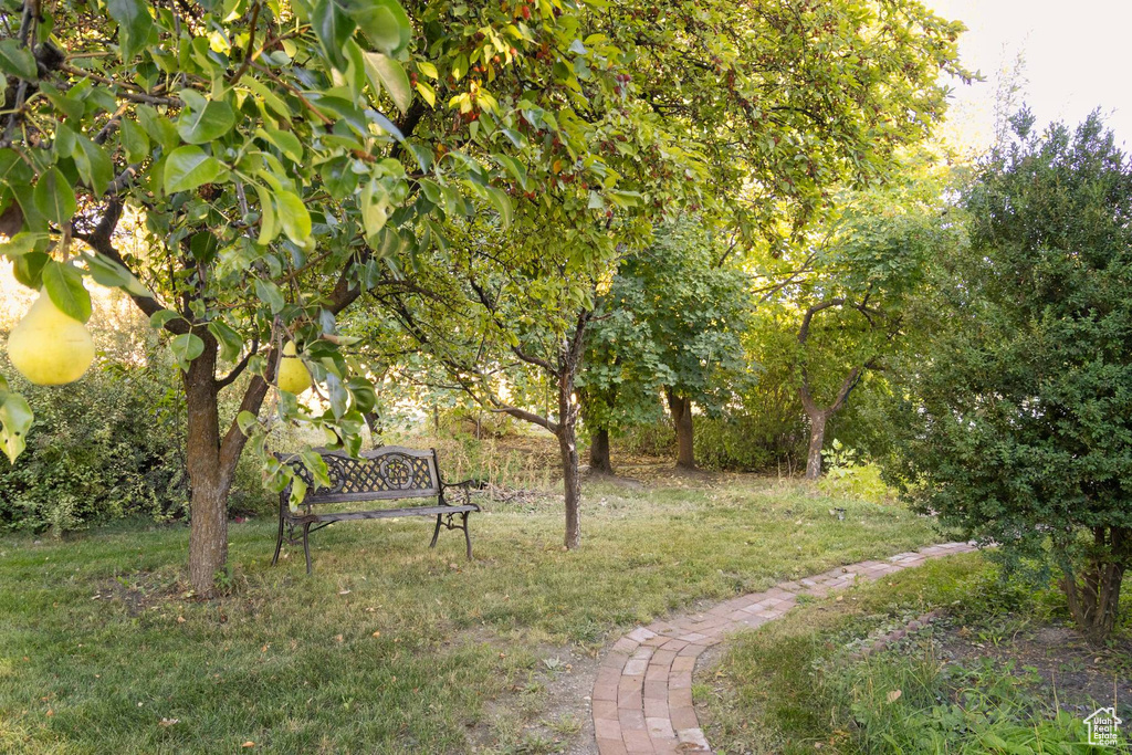 37 N 300 E Richmond, UT 84333