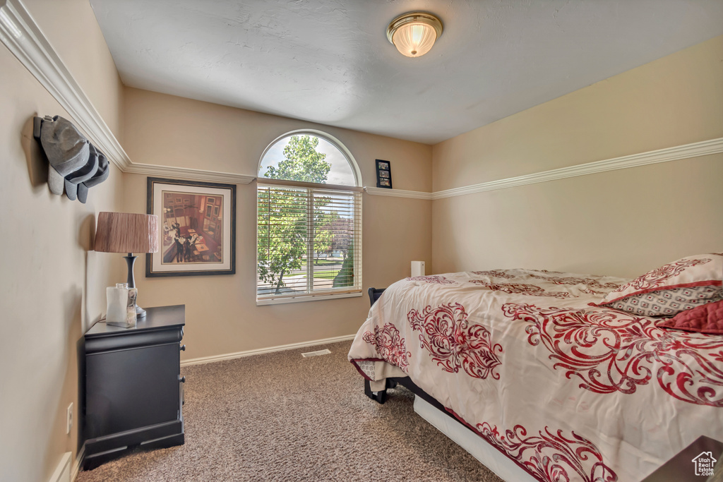 Photo 17 for MLS #2114699 at 14049 S Van Cott Peak Cir
