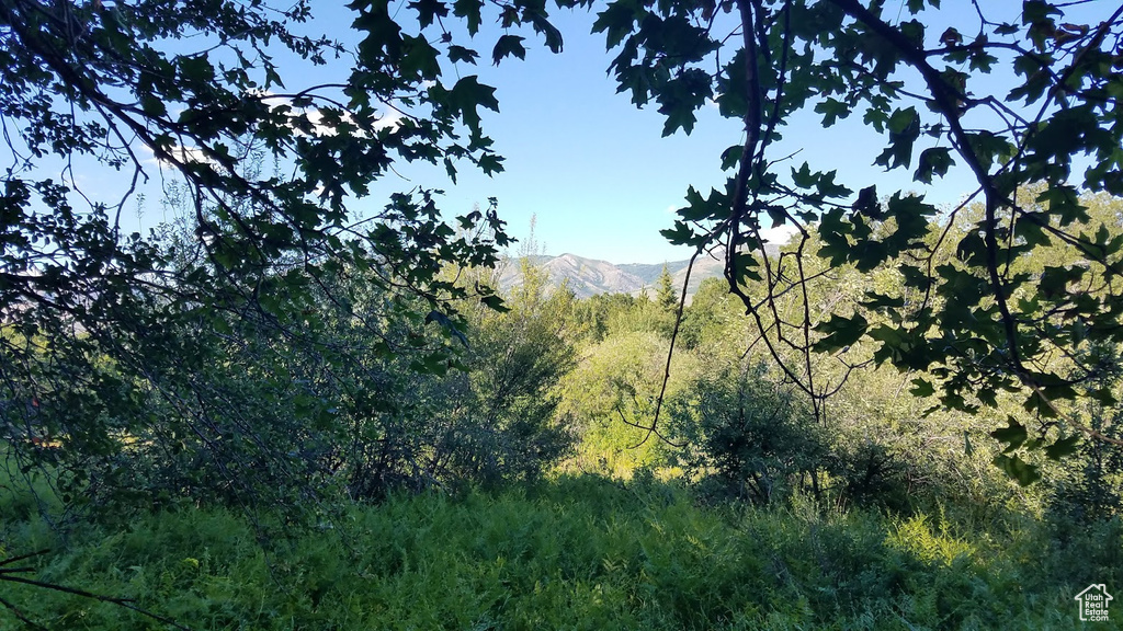 2522 N NORDIC VALLEY DR Eden, UT 84310