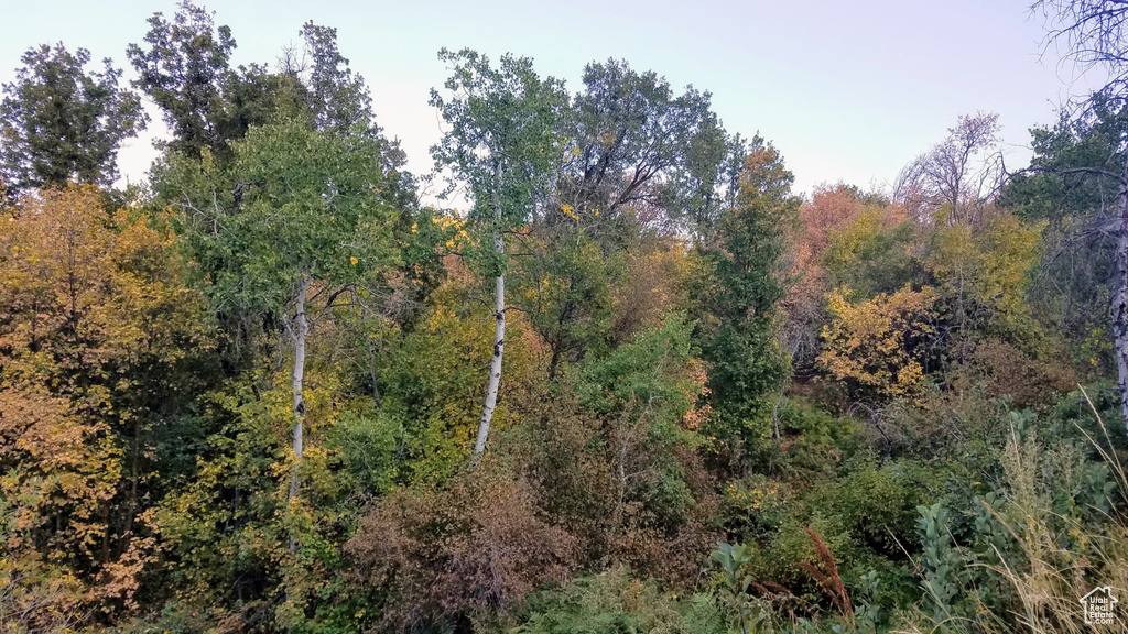 2522 N NORDIC VALLEY DR Eden, UT 84310