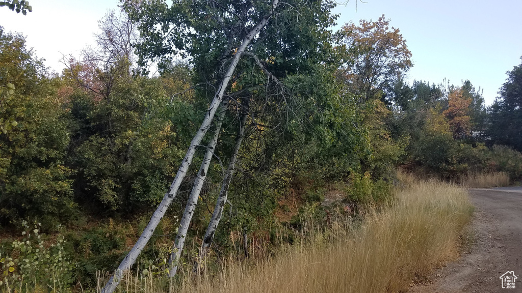 2522 N NORDIC VALLEY DR Eden, UT 84310