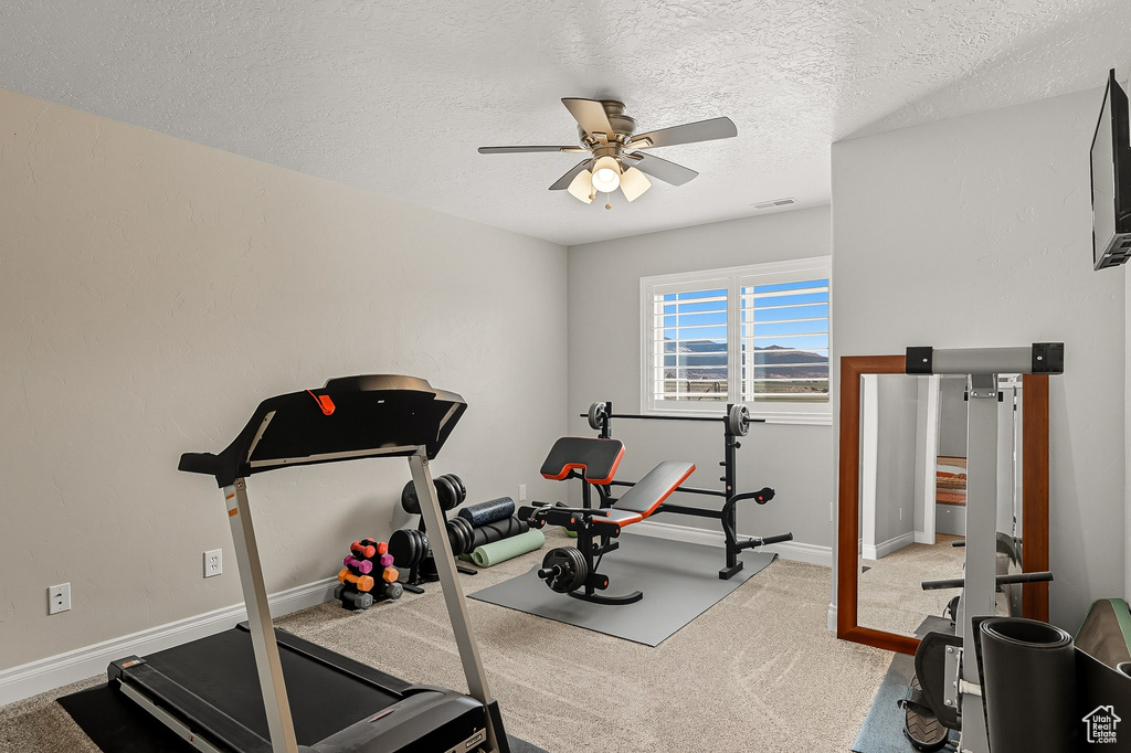 Photo 32 for MLS #2114778 at 351 W Skyline Dr