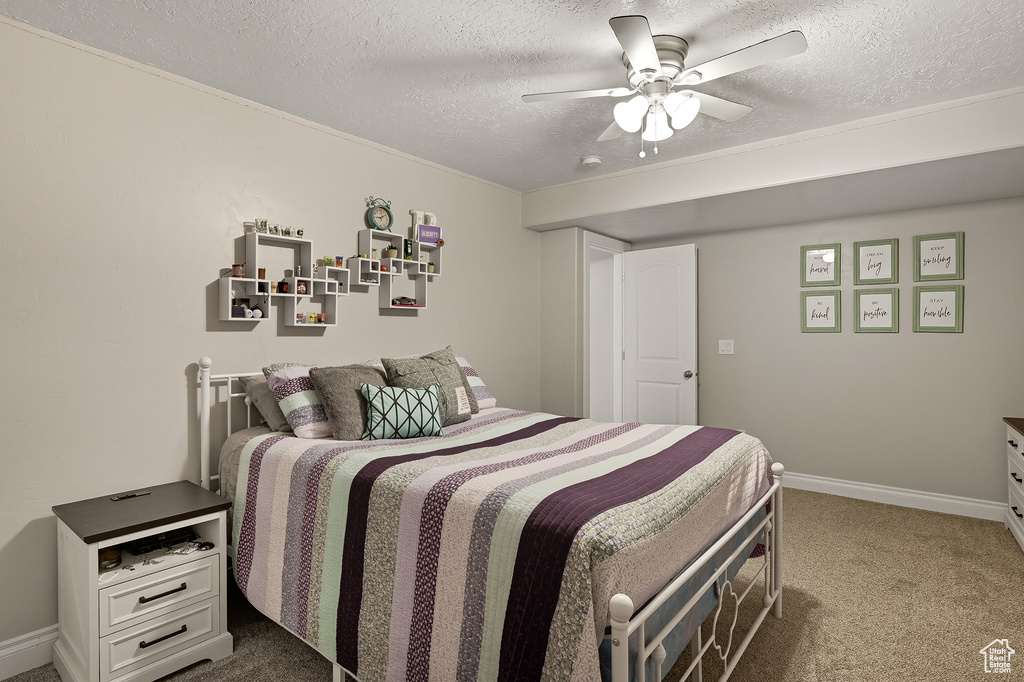 Photo 38 for MLS #2114778 at 351 W Skyline Dr