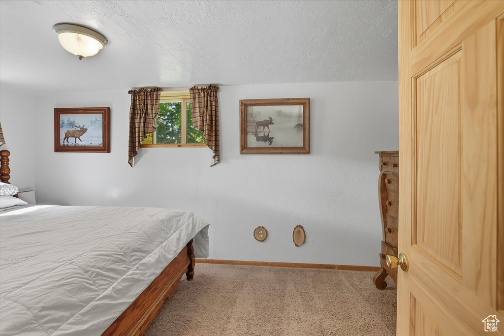 Photo 19 for MLS #2114829 at 667 N Rapid Rd