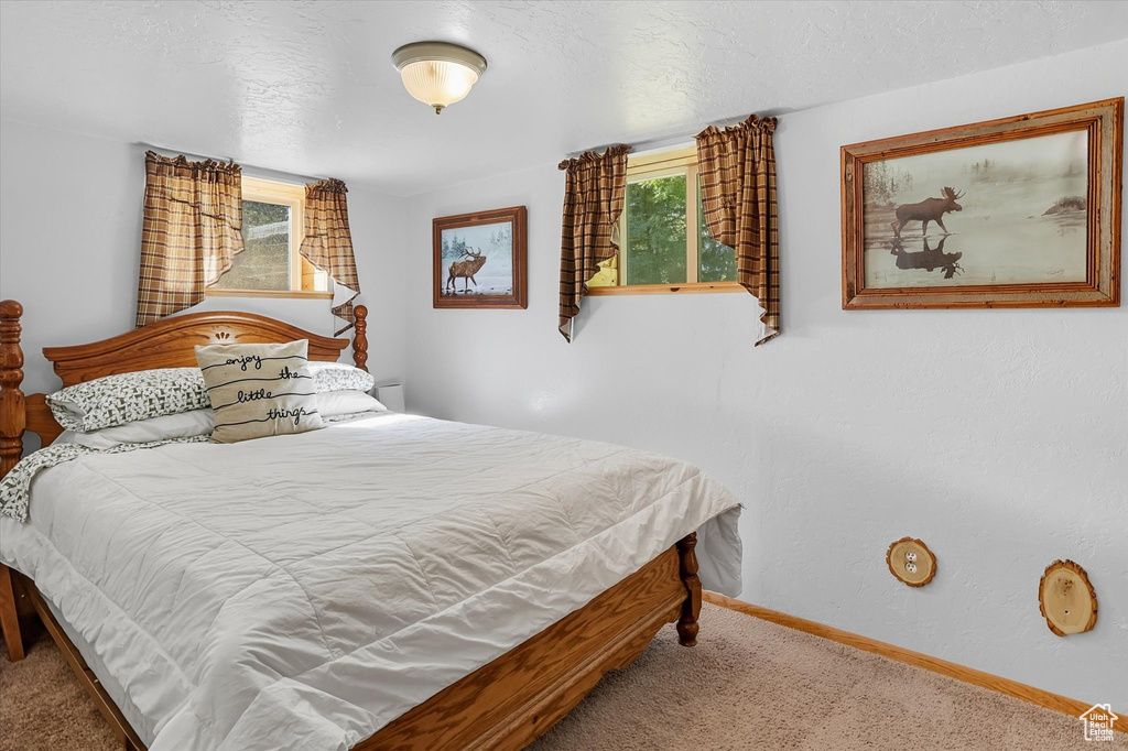 Photo 18 for MLS #2114829 at 667 N Rapid Rd
