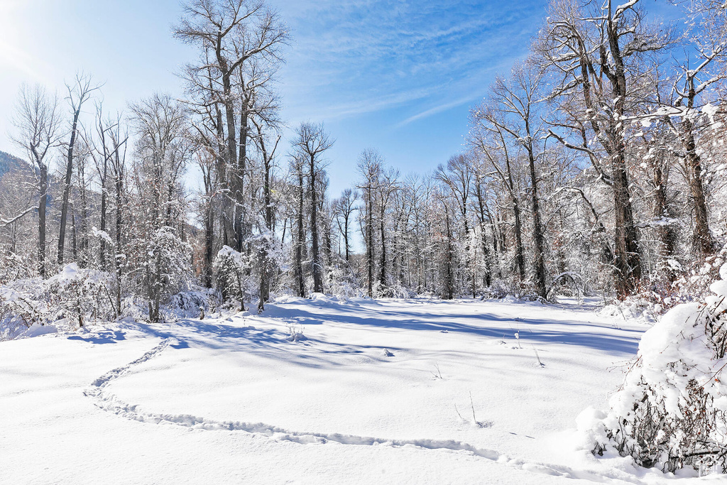 2600 E WEBER CANYON RD Oakley, UT 84055