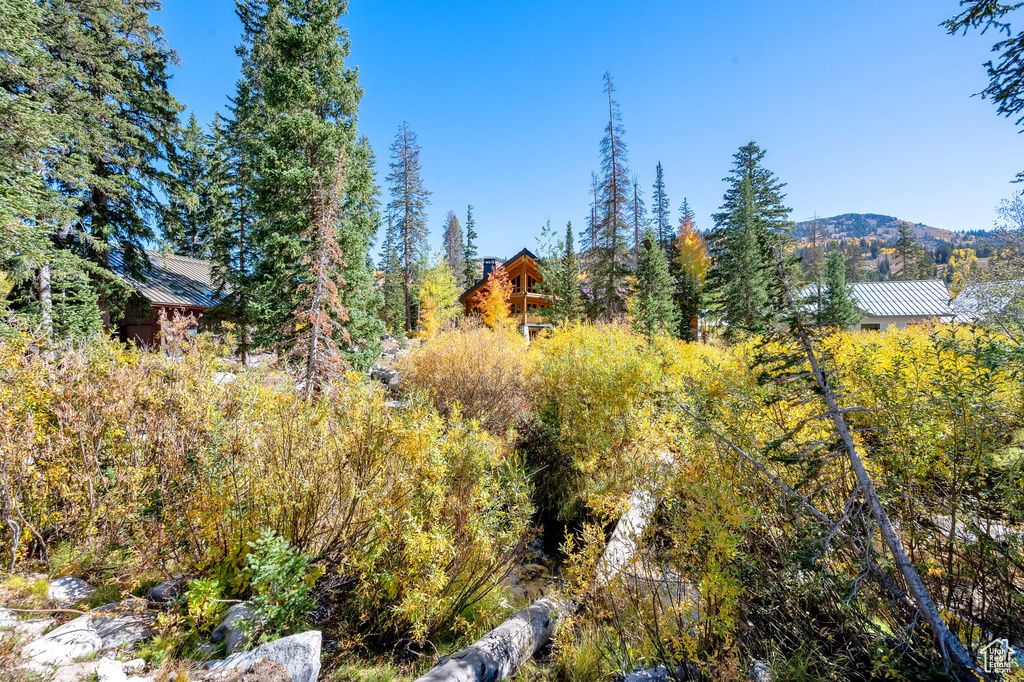 Photo 65 for MLS #2114895 at 8132 S Brighton Rd