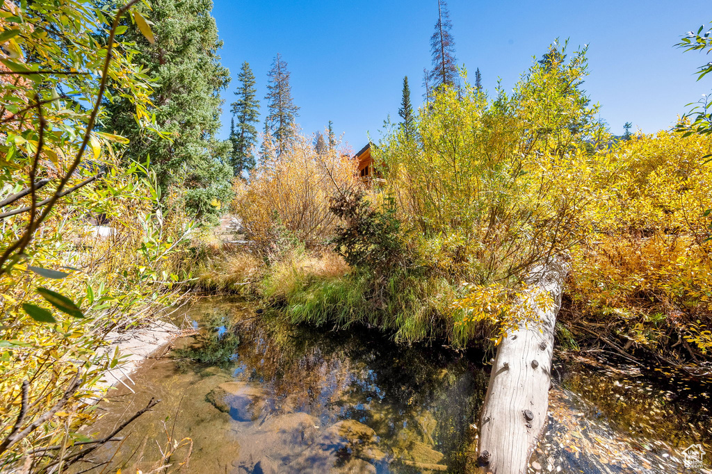 Photo 64 for MLS #2114895 at 8132 S Brighton Rd