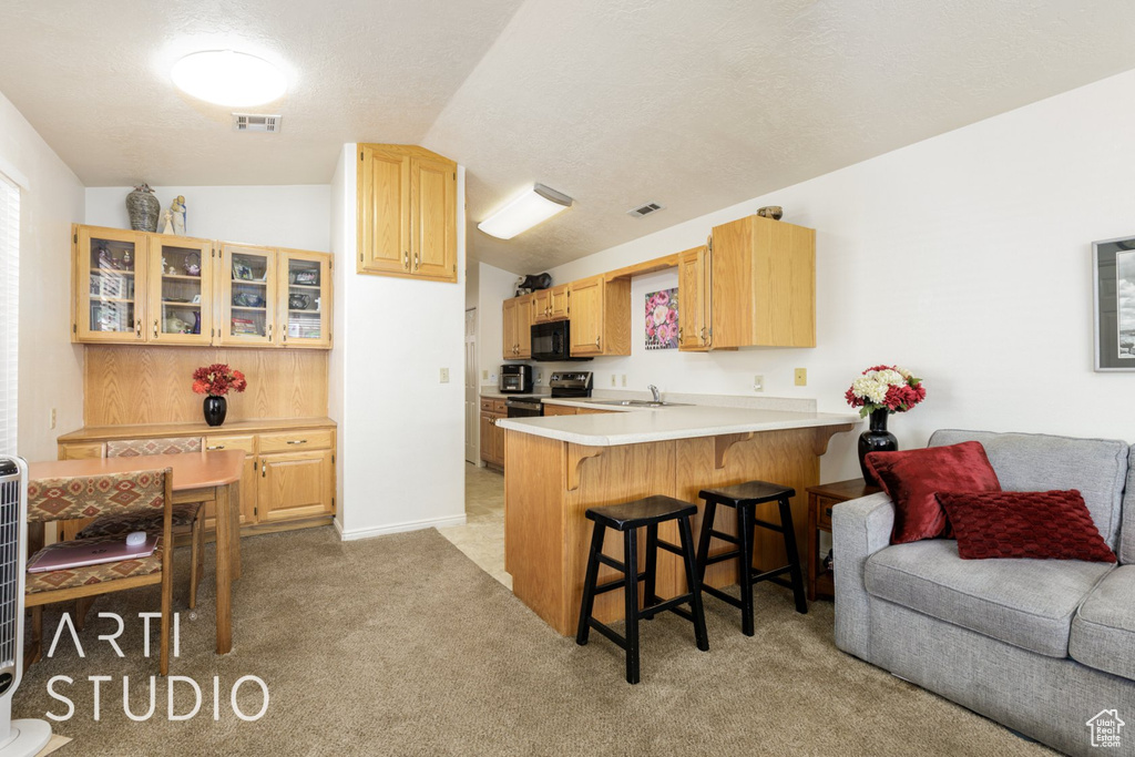 1225 N DIXIE DOWNS RD #16 St George, UT 84770