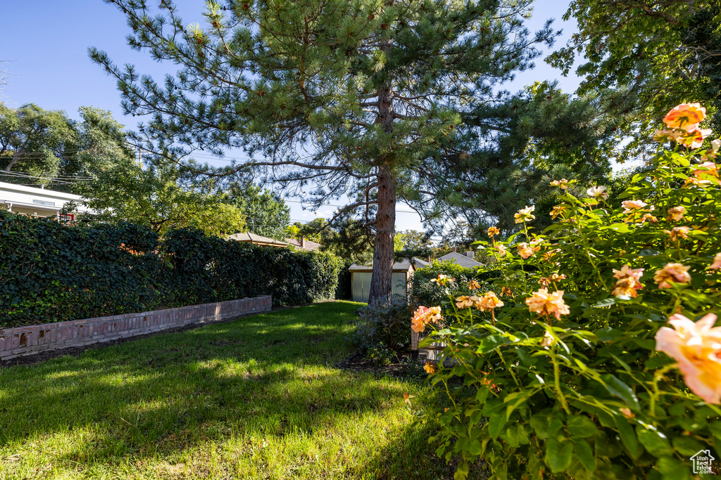 Photo 33 for MLS #2114904 at 1120 E Sunnyside Ave