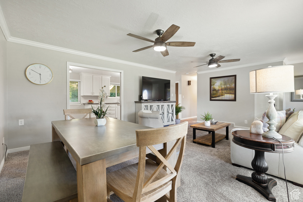 177 E 500 N American Fork, UT 84003