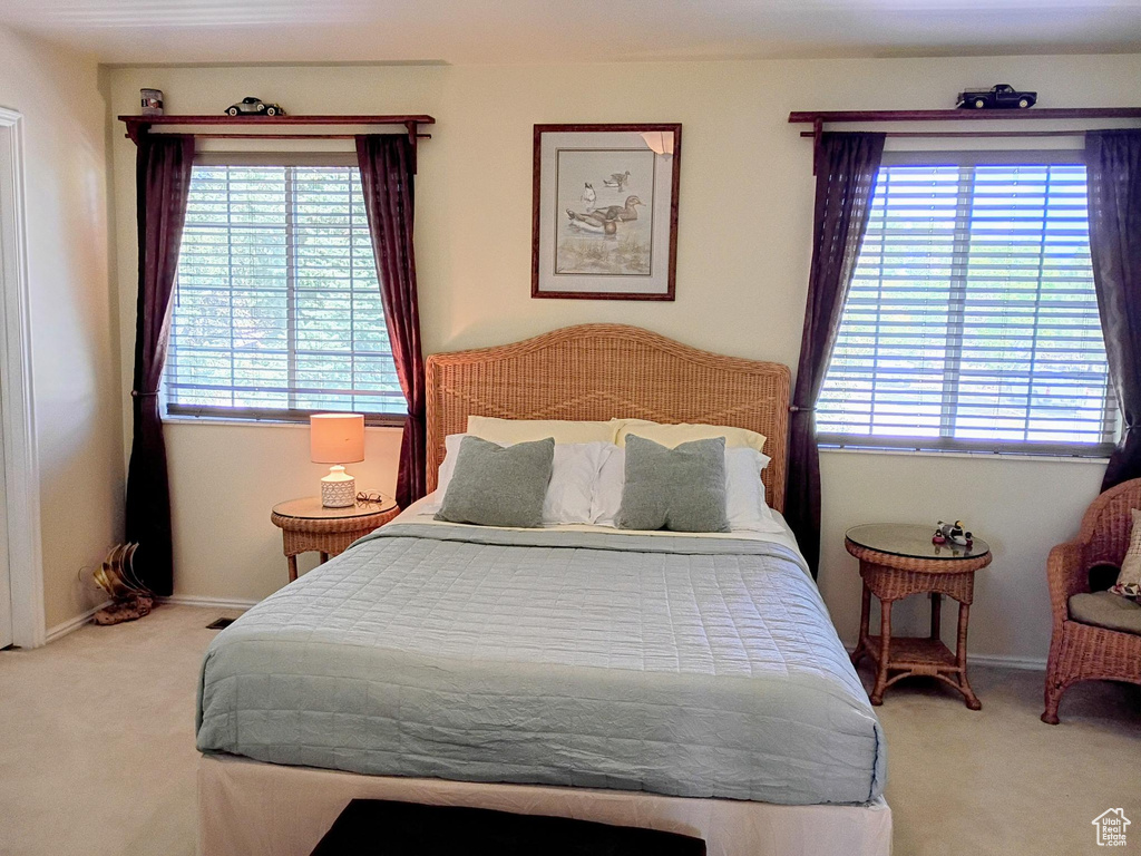 Photo 25 for MLS #2114906 at 1407 Shepherd Dr