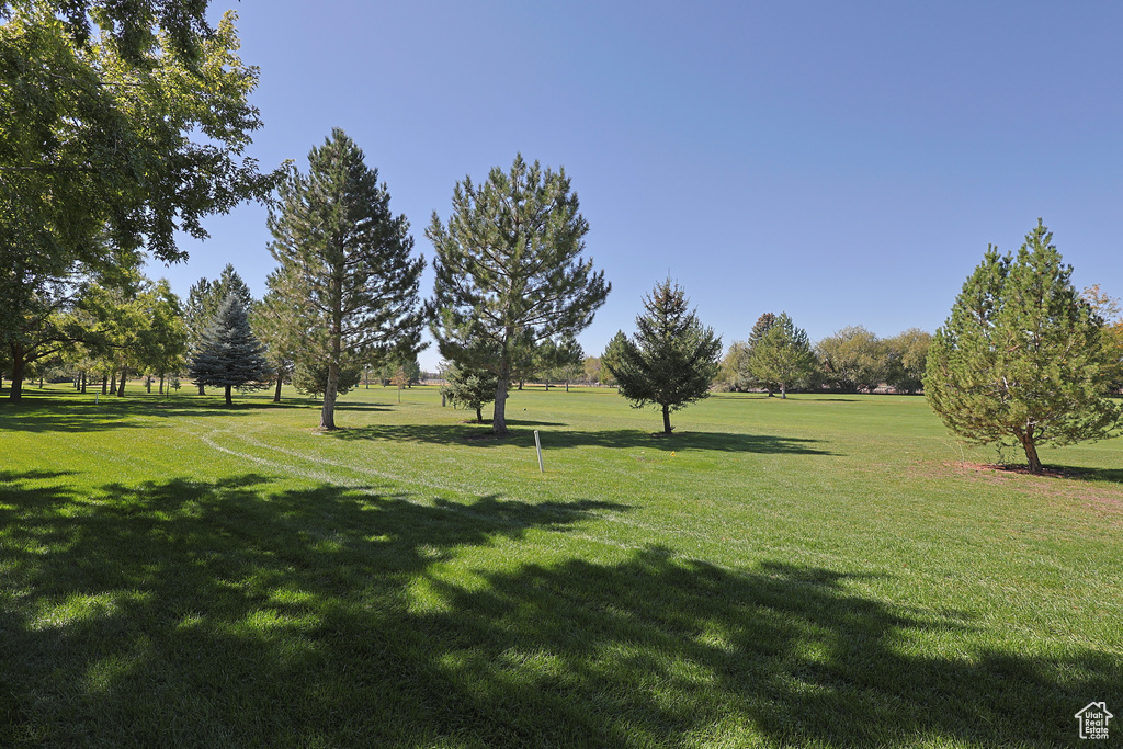 42 WHITE BARN DR. Pleasant View, UT 84414
