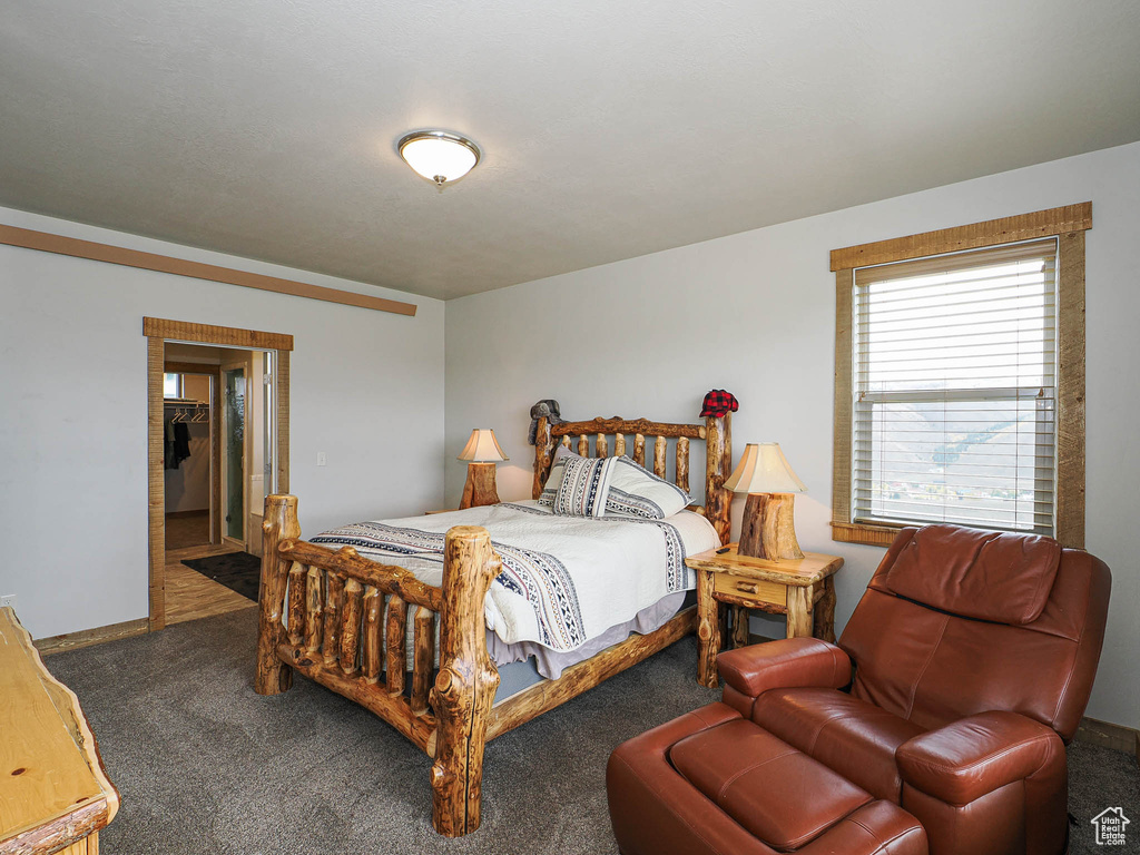 13 ASPEN COVE DR Scofield, UT 84526