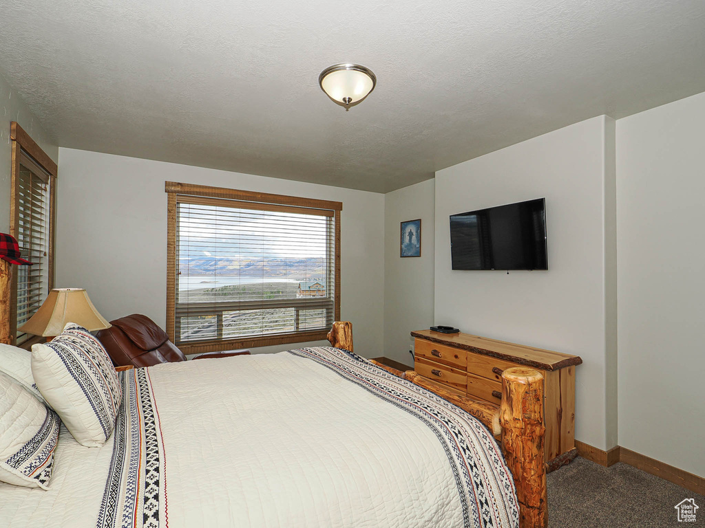 13 ASPEN COVE DR Scofield, UT 84526
