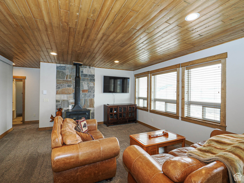 13 ASPEN COVE DR Scofield, UT 84526