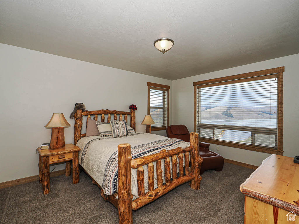 13 ASPEN COVE DR Scofield, UT 84526