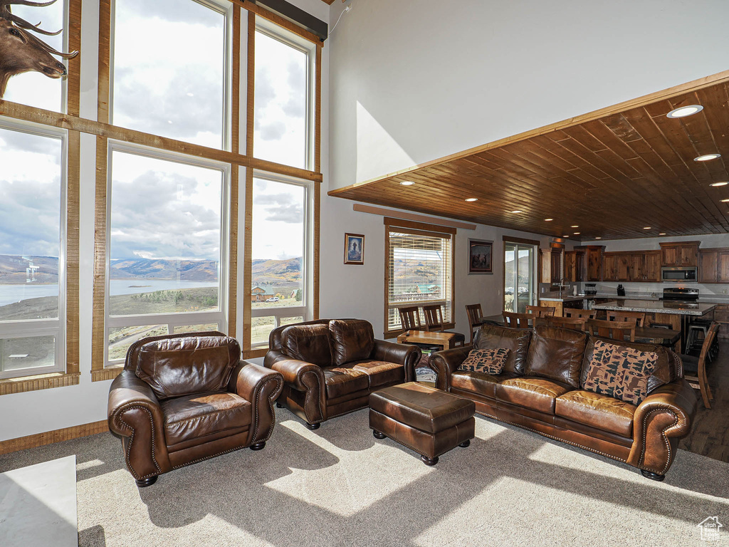 13 ASPEN COVE DR Scofield, UT 84526