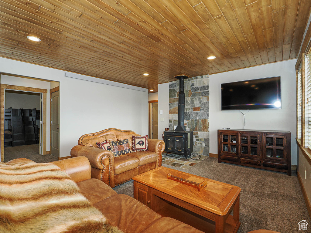 13 ASPEN COVE DR Scofield, UT 84526