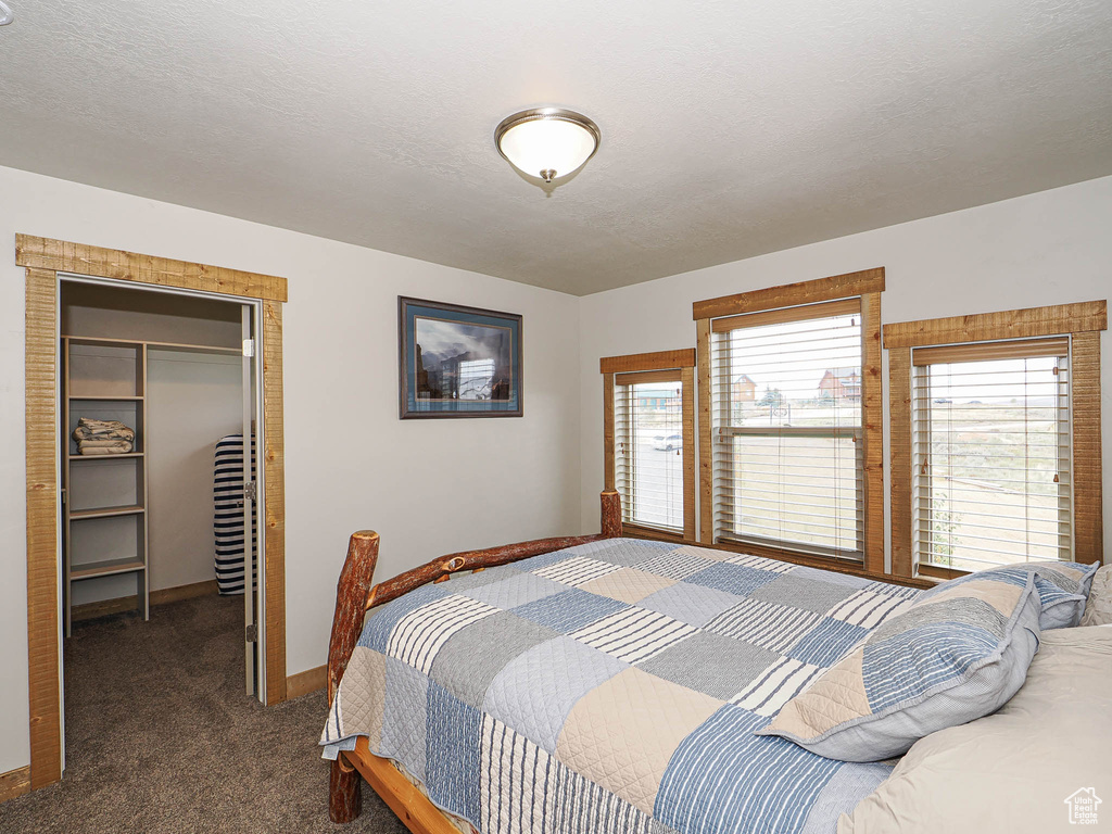 13 ASPEN COVE DR Scofield, UT 84526