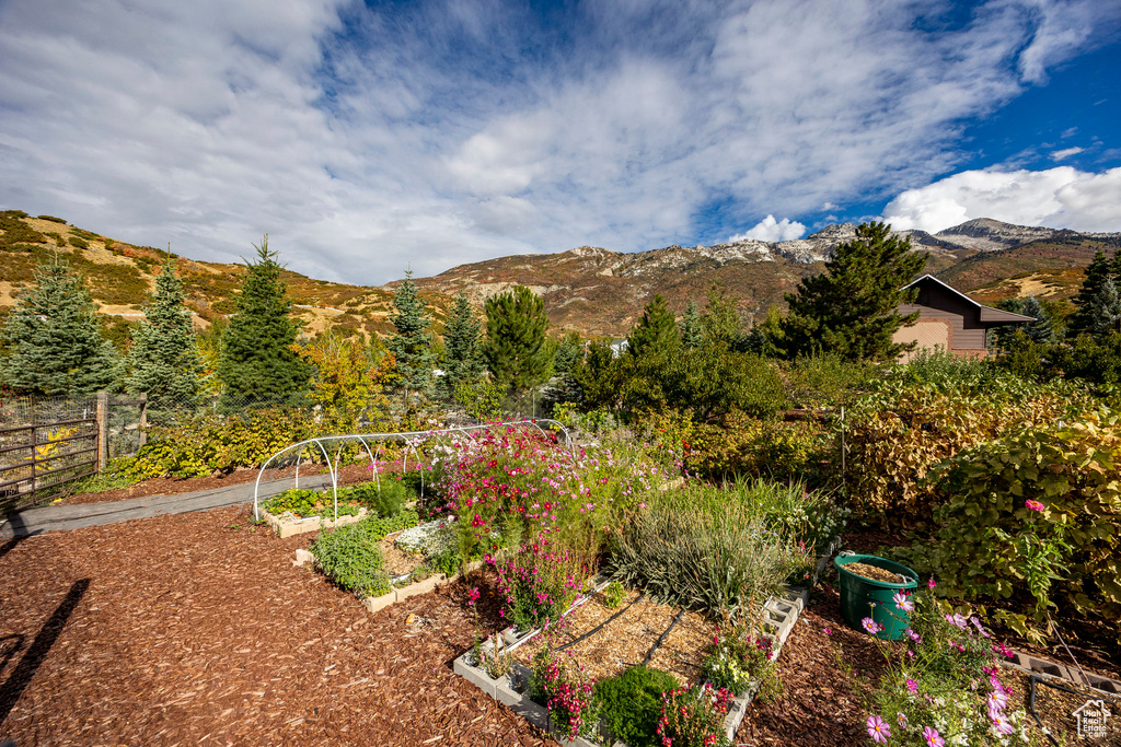 Photo 48 for MLS #2115034 at 1801 N Fort Canyon Rd