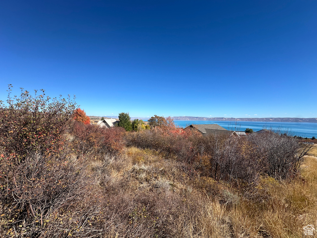 80  HUNT DR Fish Haven, ID 83287