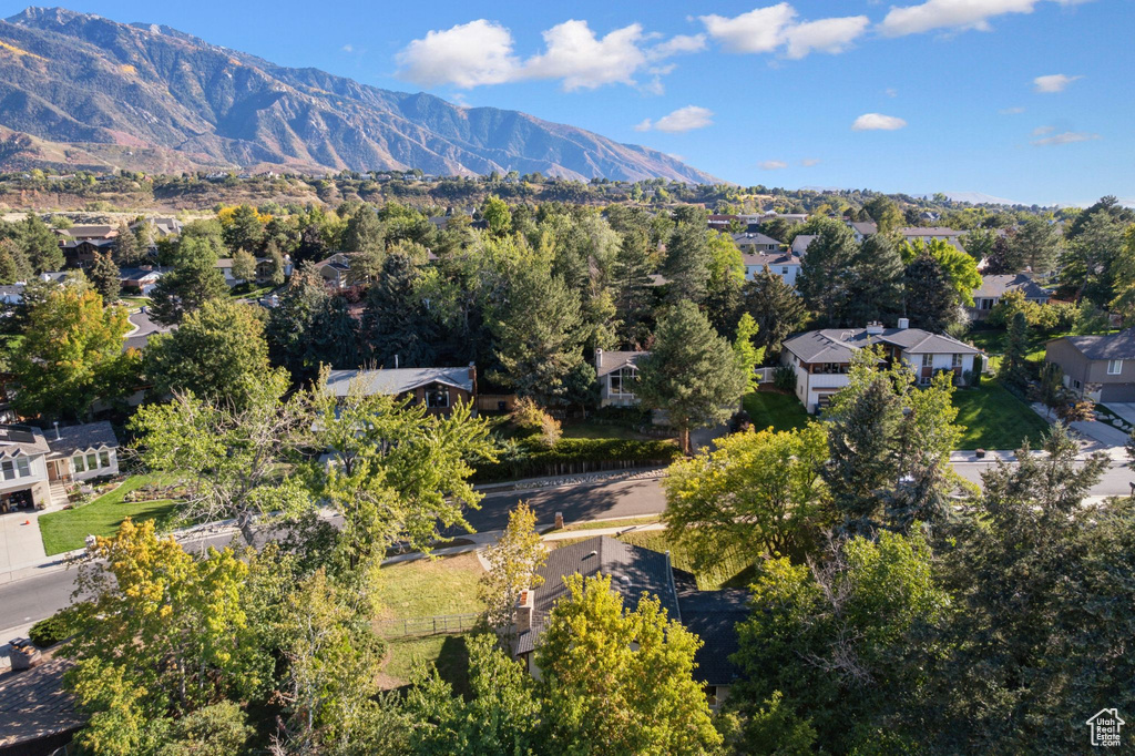 Photo 58 for MLS #2115204 at 2817 E Willow Wick Dr