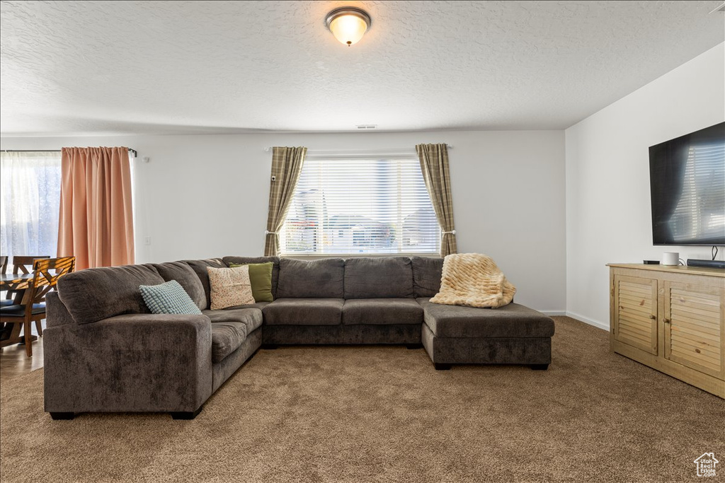 6445 BLACK RIDGE DR Stansbury Park, UT 84074