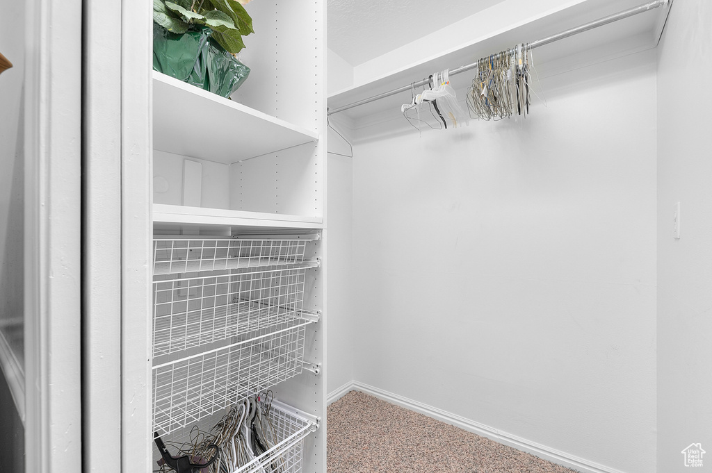 19 N LONE PEAK DR Alpine, UT 84004