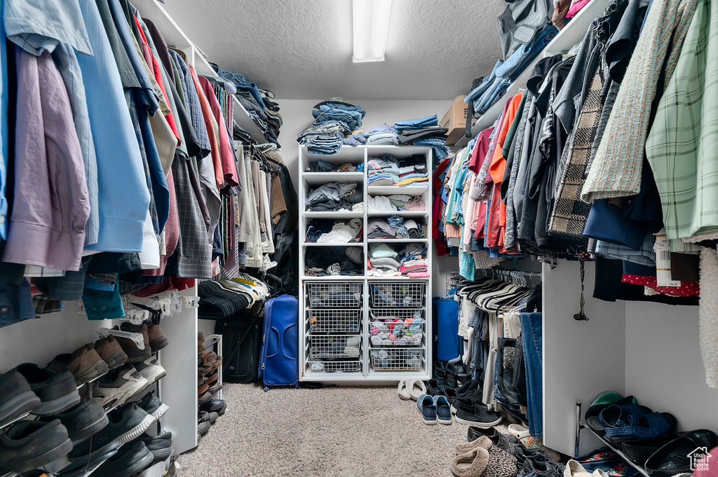 19 N LONE PEAK DR Alpine, UT 84004