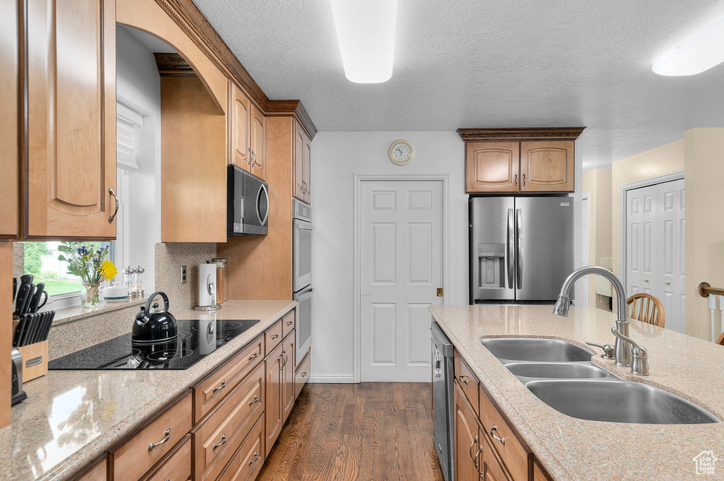 19 N LONE PEAK DR Alpine, UT 84004