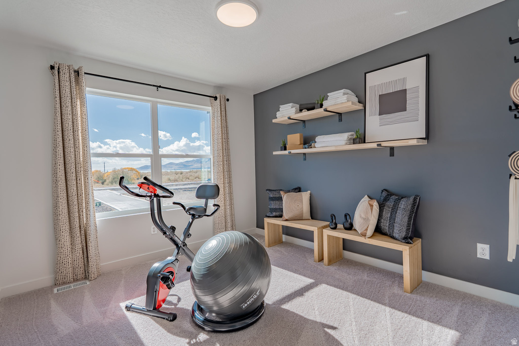 1131 W 480 S American Fork, UT 84003