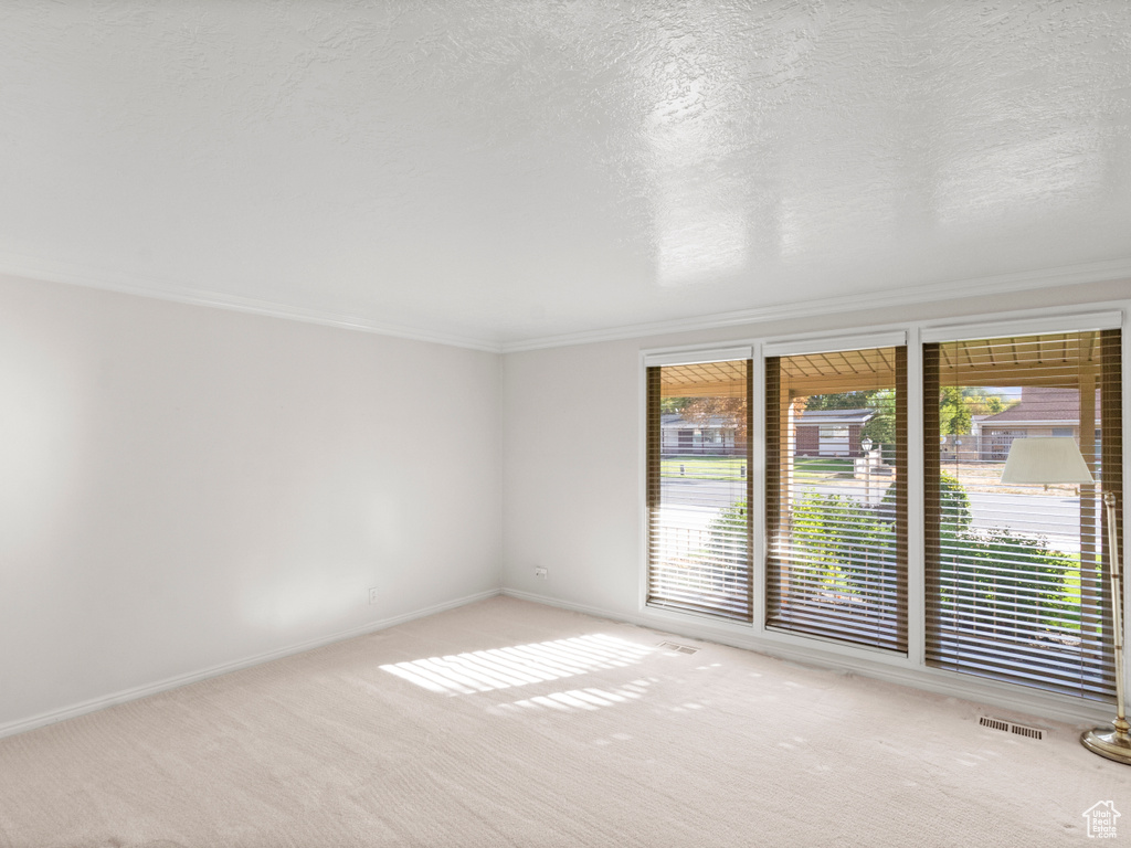10442 S CARNATION DR White City, UT 84094