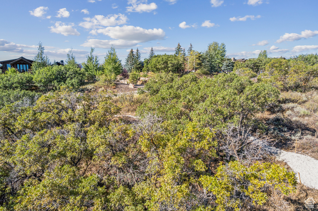 1146  SNOW BERRY ST Park City, UT 84098