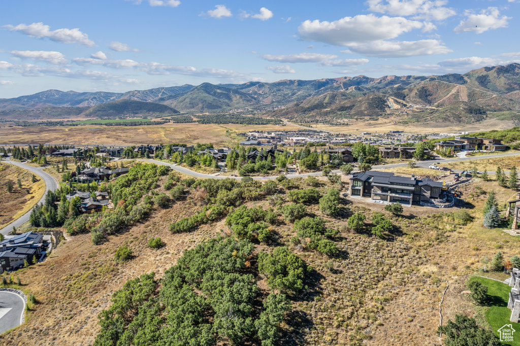 1146  SNOW BERRY ST Park City, UT 84098