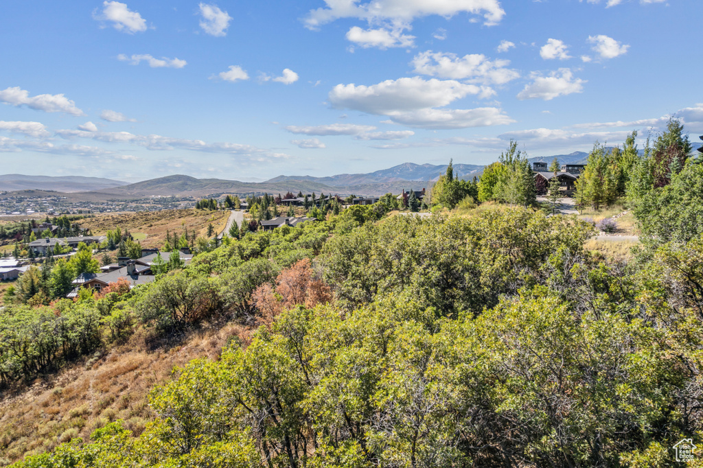 1146  SNOW BERRY ST Park City, UT 84098