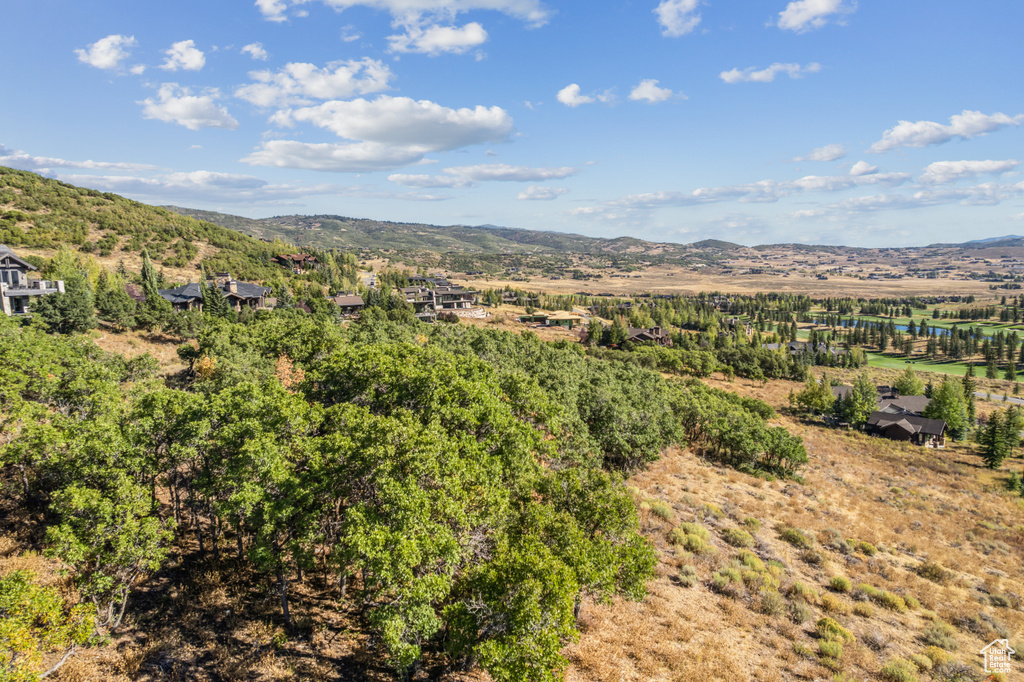 1146  SNOW BERRY ST Park City, UT 84098