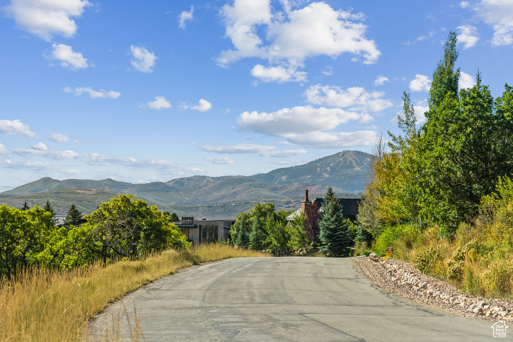 1146  SNOW BERRY ST Park City, UT 84098