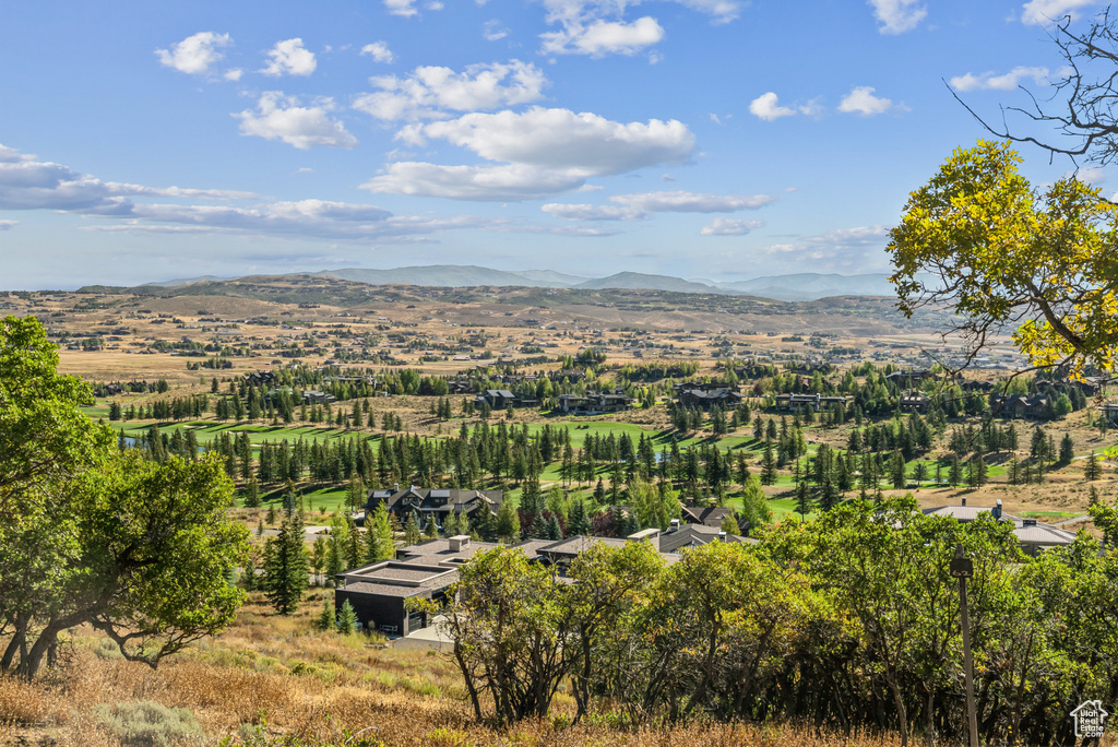 1146  SNOW BERRY ST Park City, UT 84098