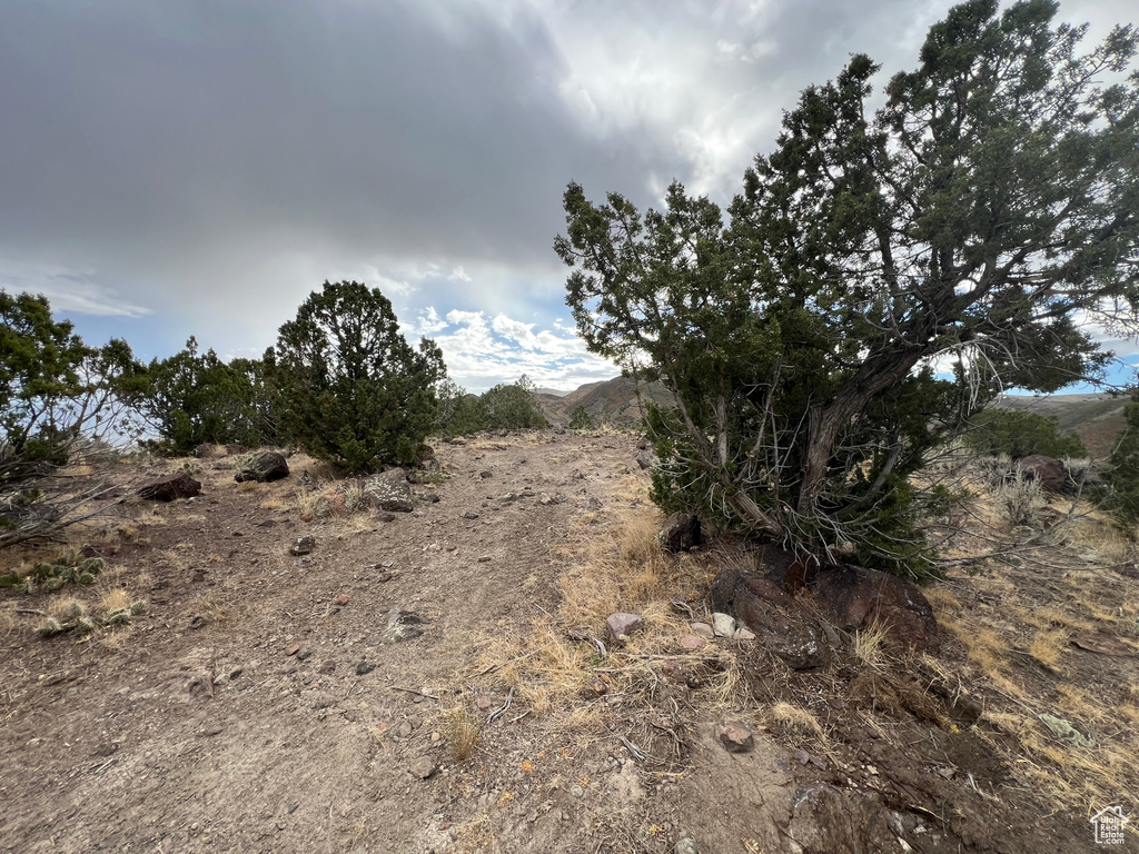 15149  ROSE VIEW LN Herriman, UT 84065