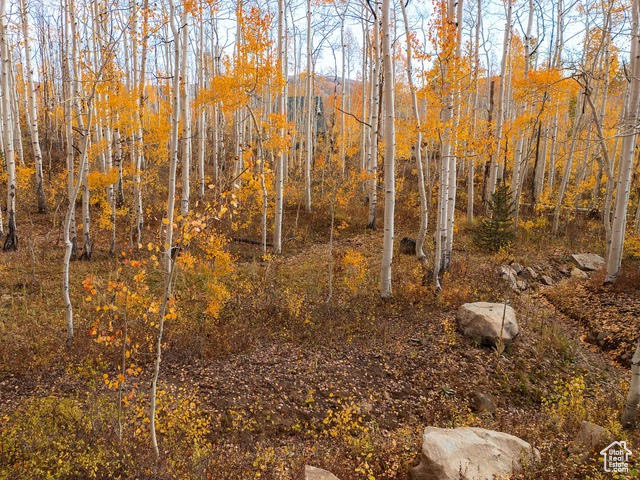 5156 N PEBBLE DR Midway, UT 84049