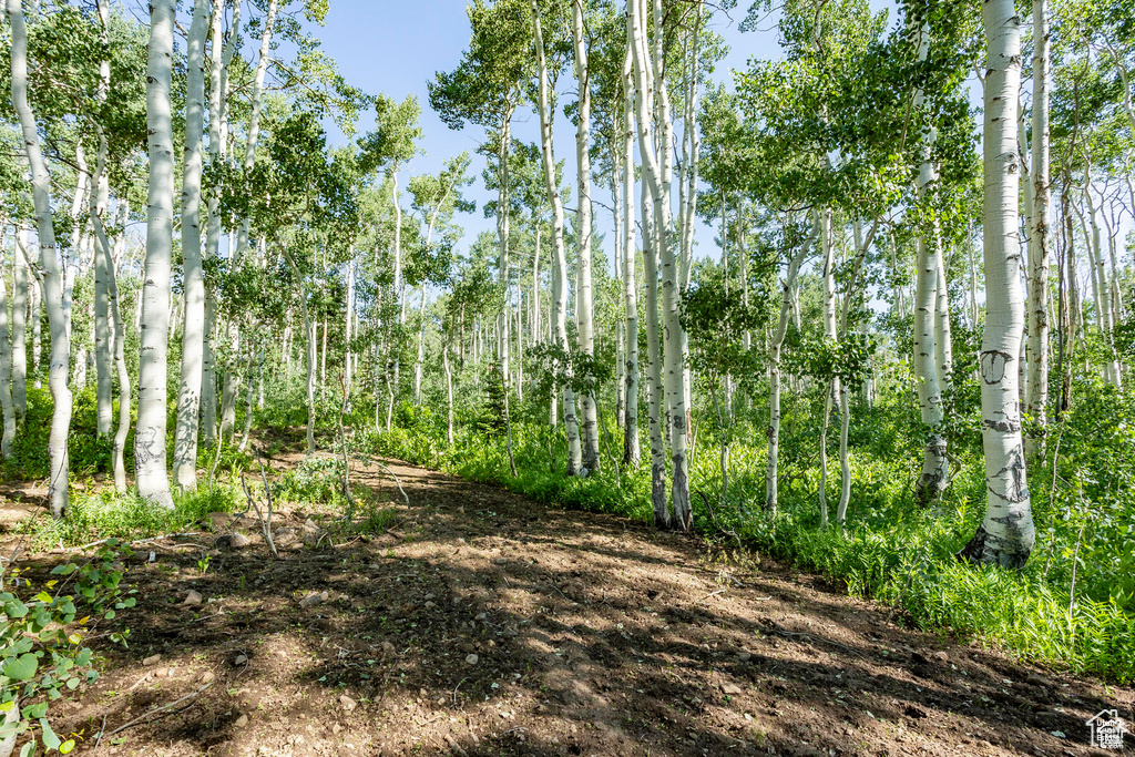 5156 N PEBBLE DR Midway, UT 84049