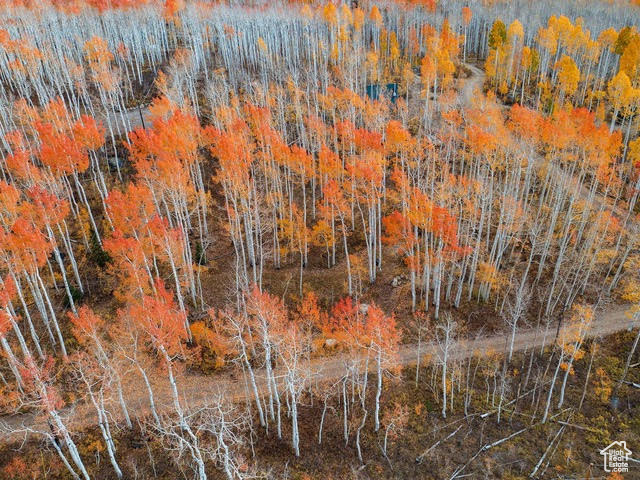 5156 N PEBBLE DR Midway, UT 84049