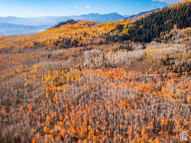 5156 N PEBBLE DR Midway, UT 84049