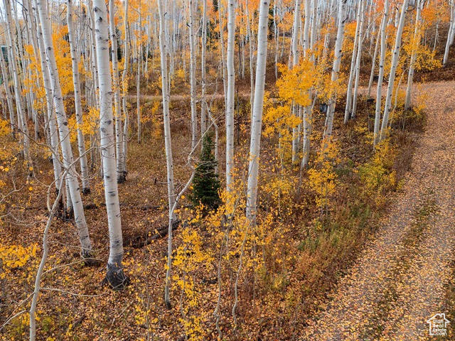 5156 N PEBBLE DR Midway, UT 84049