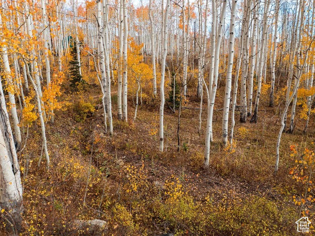 5156 N PEBBLE DR Midway, UT 84049