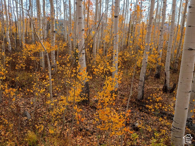 5156 N PEBBLE DR Midway, UT 84049