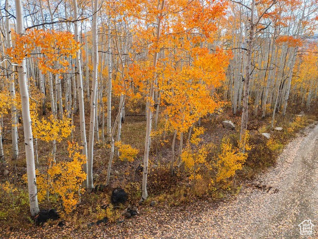 5156 N PEBBLE DR Midway, UT 84049